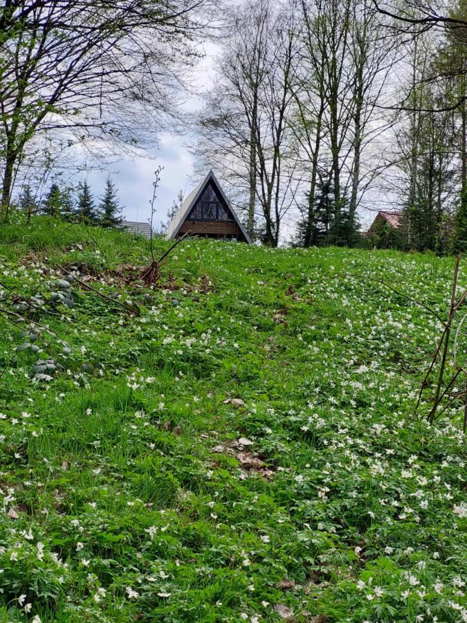 U Hanki Zywiec Exterior photo